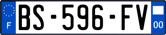 BS-596-FV