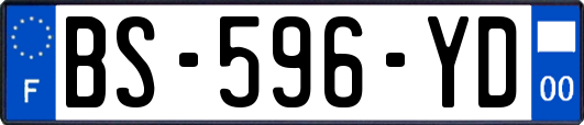 BS-596-YD