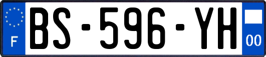 BS-596-YH