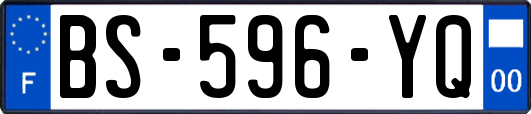 BS-596-YQ