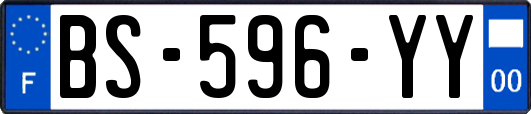 BS-596-YY