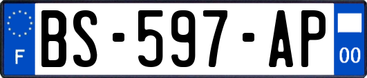 BS-597-AP