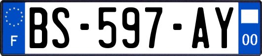 BS-597-AY