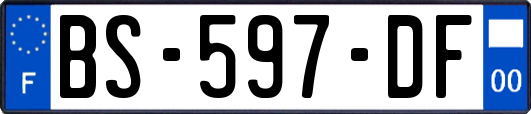 BS-597-DF