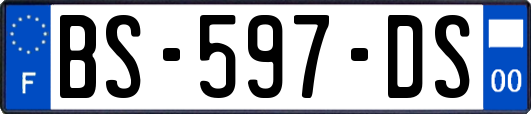 BS-597-DS