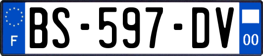 BS-597-DV