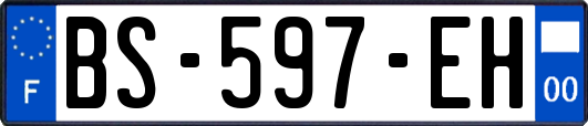 BS-597-EH