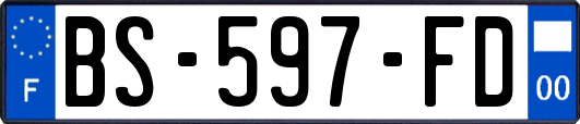 BS-597-FD
