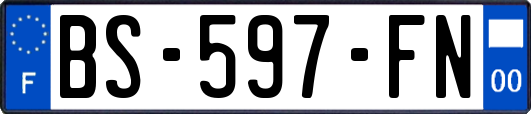 BS-597-FN