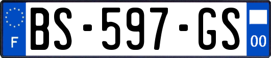 BS-597-GS