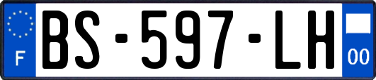 BS-597-LH