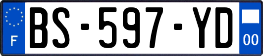 BS-597-YD