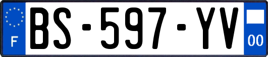 BS-597-YV