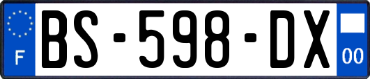 BS-598-DX