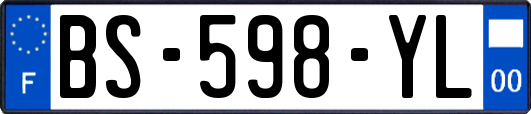 BS-598-YL