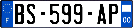 BS-599-AP