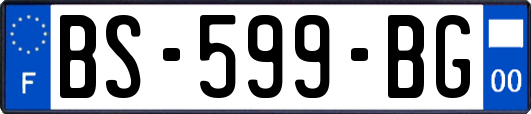 BS-599-BG