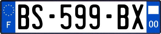 BS-599-BX