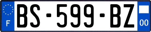 BS-599-BZ