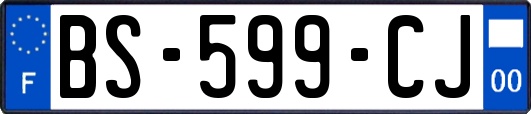 BS-599-CJ