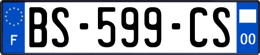BS-599-CS