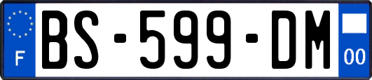 BS-599-DM