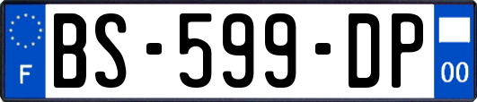 BS-599-DP