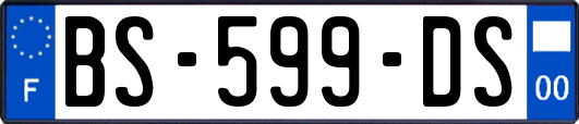 BS-599-DS