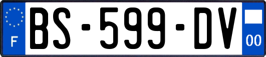 BS-599-DV