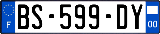 BS-599-DY