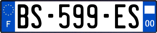 BS-599-ES