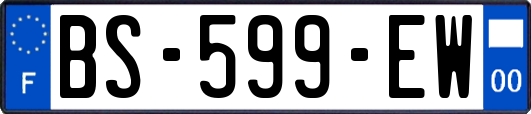 BS-599-EW