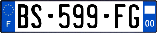 BS-599-FG