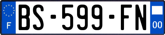 BS-599-FN