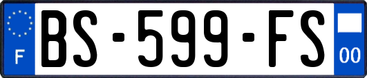 BS-599-FS