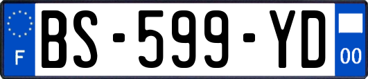 BS-599-YD