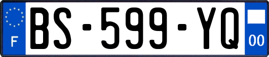 BS-599-YQ