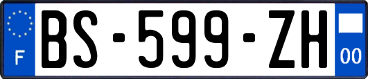 BS-599-ZH