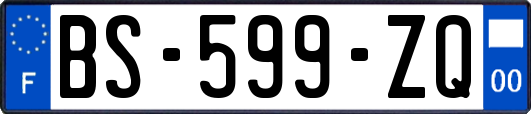 BS-599-ZQ