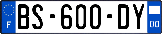 BS-600-DY