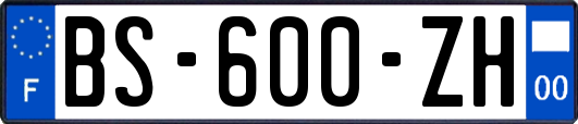 BS-600-ZH
