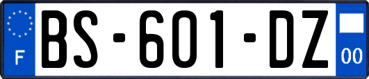 BS-601-DZ