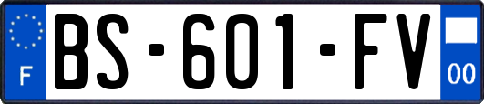 BS-601-FV