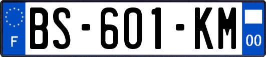 BS-601-KM