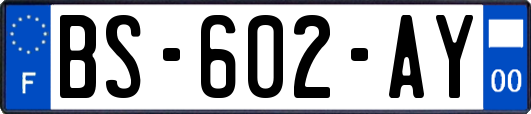 BS-602-AY