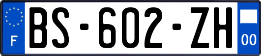 BS-602-ZH