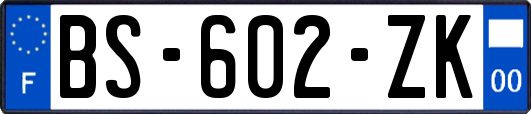 BS-602-ZK
