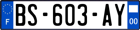 BS-603-AY