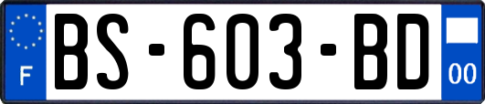 BS-603-BD