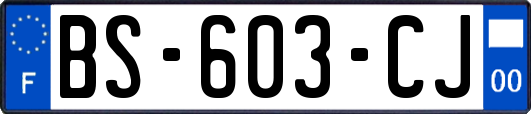 BS-603-CJ